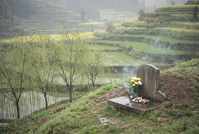 清明时节的四川乡间，细雨中青翠的山坡与柳枝，一座简朴的石墓前摆着鲜花和一只小酒杯