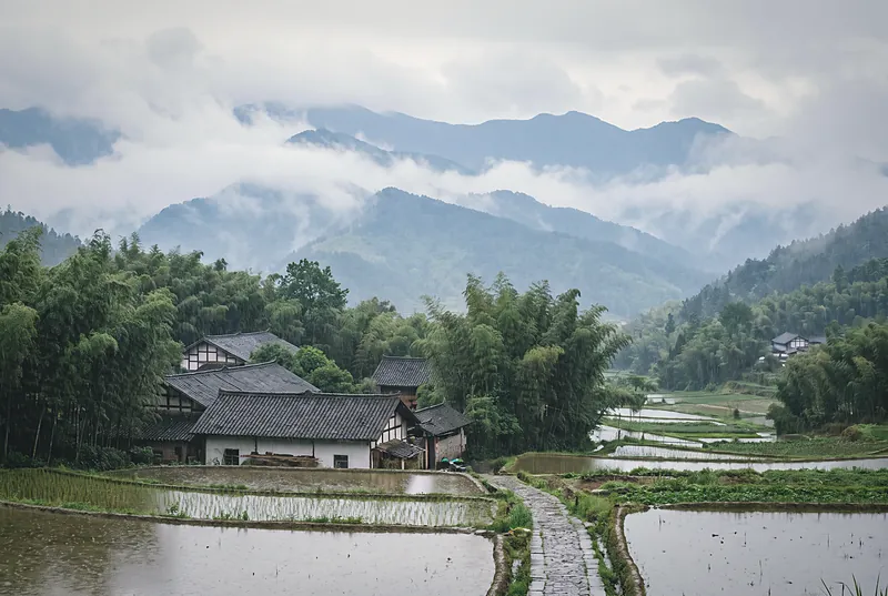 细雨笼罩下的四川平原，远处是云雾缭绕的龙门山，近处是农舍与稻田